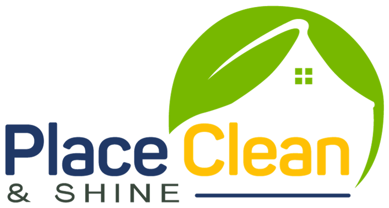 placecleanandshine.com